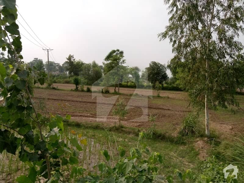 Selling 1.5 Kanal In Clarkabad Near Raiwind Selling 1.5 Kanal In Clarkabad Near Raiwind