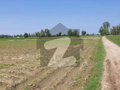 صوفیہ فارم ہاؤسز بیدیاں روڈ لاہور میں 56 کنال زرعی زمین 9.1 کروڑ میں برائے فروخت۔ صوفیہ فارم ہاؤسز بیدیاں روڈ لاہور میں 56 کنال زرعی زمین 9.1 کروڑ میں برائے فروخت۔