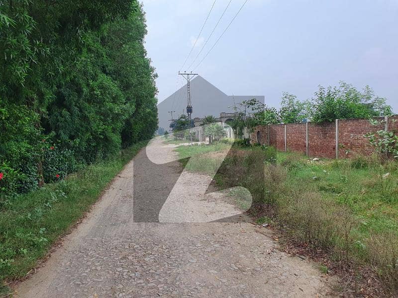 Carpet Road 8-kanal Farm House Land For Sale Thethar Bedian Road