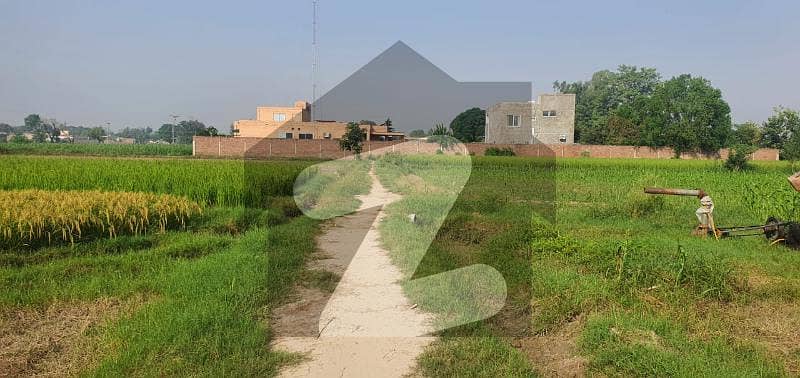 3 Kanal Farm House Plot For Sale In Bedian Road