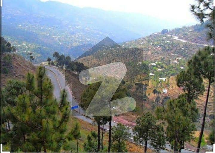 5 Marla develop possession plot with Best View of Muree