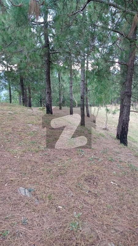 210 Kanal Land Is Available For Sale In Mandian Abbottabad