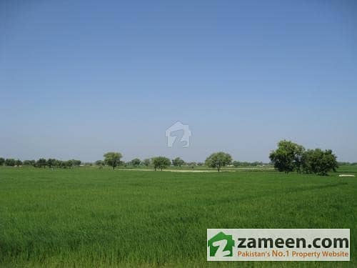 Thatta - Agricultural Land For Sale