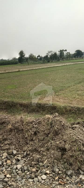 58500 Square Feet Agricultural Land Is Available For Sale In Ferozepur Road