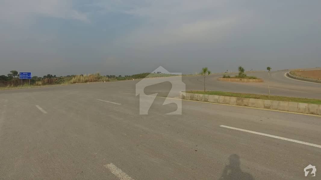 1125 Square Feet Residential Plot In Central Dha Valley Daisy Sector For Sale