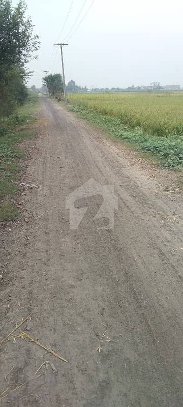 Get In Touch Now To Buy A 36000 Square Feet Agricultural Land In Ferozepur Road