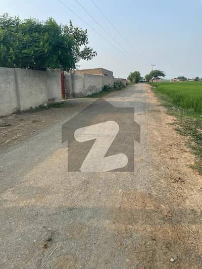 بیدیاں روڈ لاہور میں 14 کنال زرعی زمین 2.5 کروڑ میں برائے فروخت۔