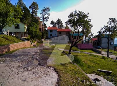 Develop Possession Plot With All Amentias Available In Muree