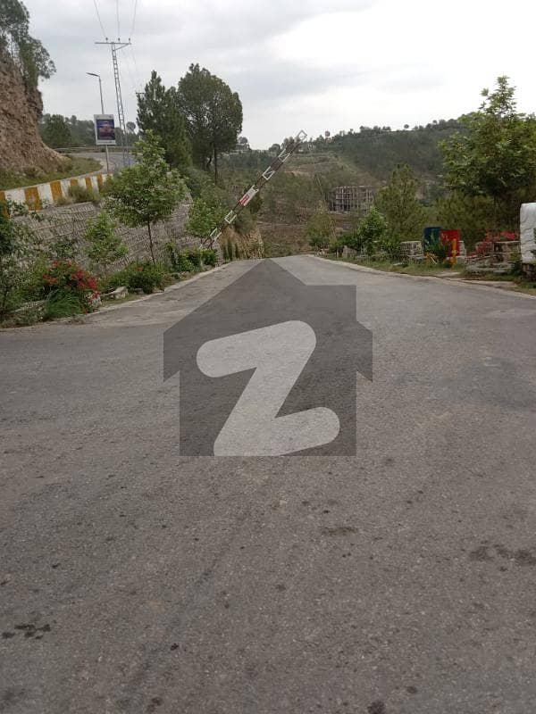 1 Kanal Plot At Prime Location With Best View