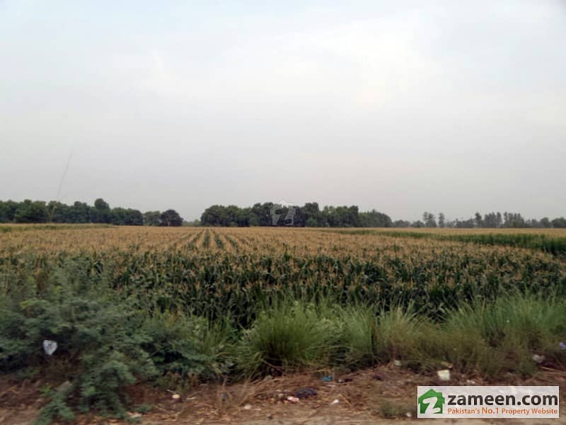 Commercial Land Is Available For Sale