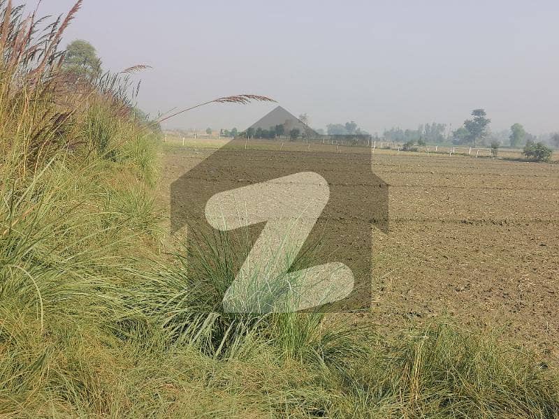 بیدیاں روڈ لاہور میں 16 کنال زرعی زمین 2.6 کروڑ میں برائے فروخت۔