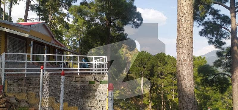 A Residential Plot Of 9000 Square Feet In Murree Resorts