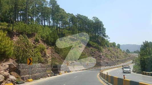 Residential Plot Is Up For Grabs In Gharial Camp Gharial Camp