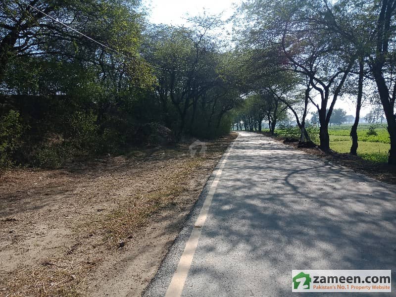 3 Acre Land For Sale Barki Road, Cantt, Lahore ID10664427