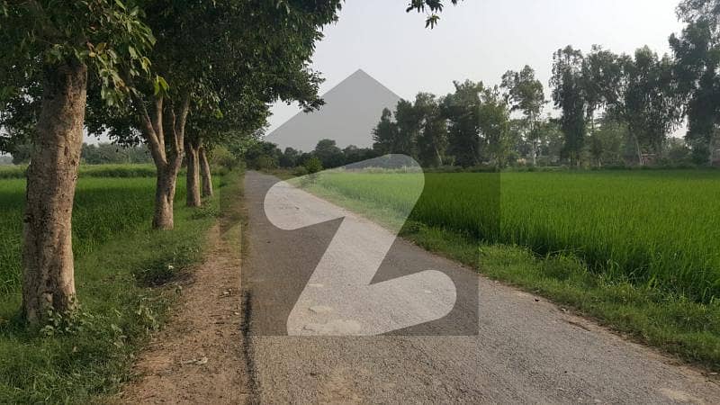بیدیاں روڈ لاہور میں 3 کنال رہائشی پلاٹ 1.65 کروڑ میں برائے فروخت۔