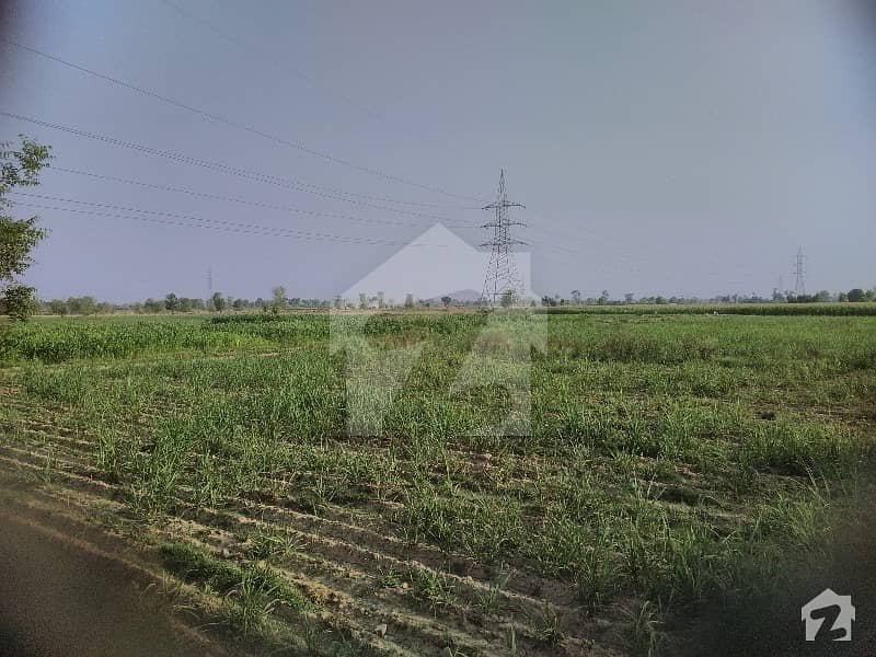 Agricultural Urban Land For Sale In Gojra City
