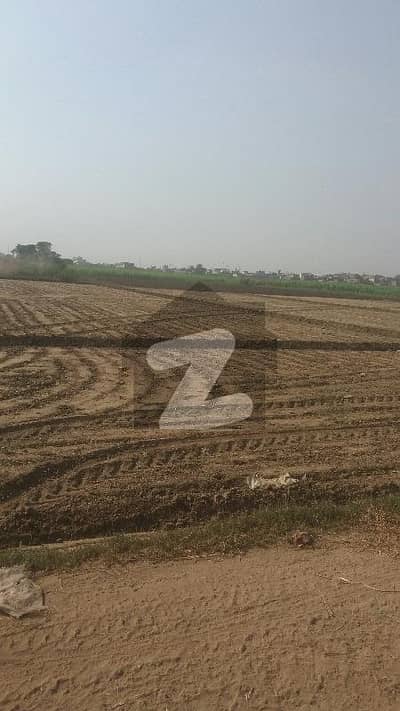 چھاپہ لاہور میں 3 کنال زرعی زمین 60 لاکھ میں برائے فروخت۔