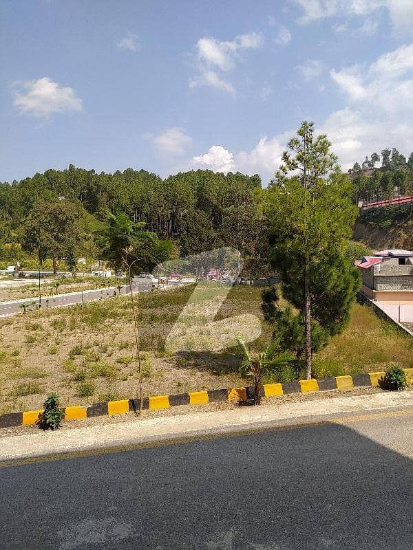 Ideal Plot Available For Sale Near Toll Plaza Ghazikot Mansehra
