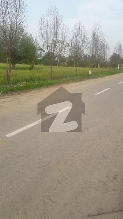 بیدیاں روڈ لاہور میں 16 کنال زرعی زمین 3.9 کروڑ میں برائے فروخت۔