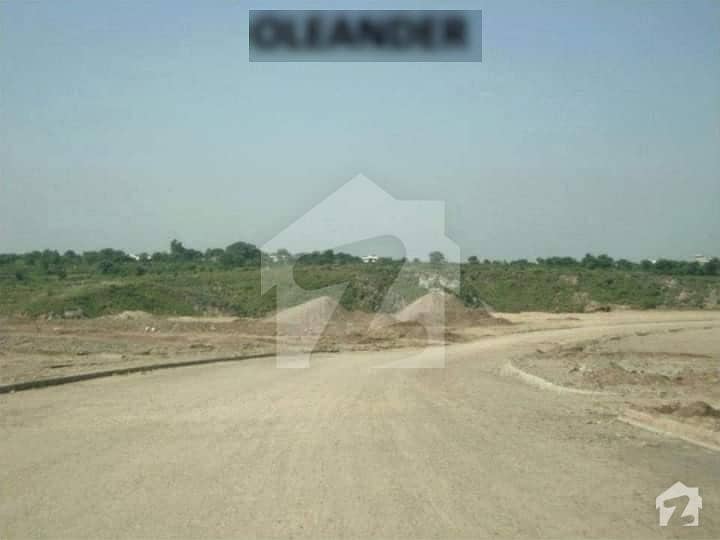 Oleander 4 Marla Open Commercial  Plot For Sale More Detail Feel Free To Contact