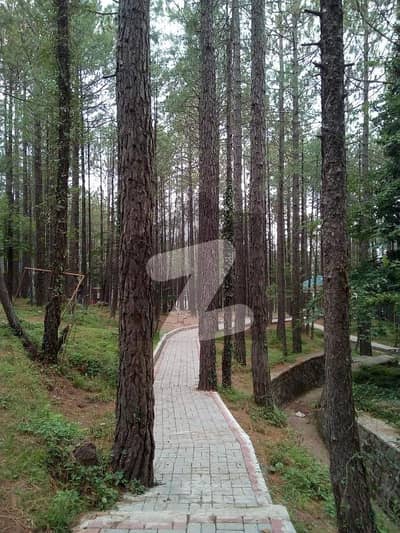 Book A Residential Plot Of 1125 Square Feet In Murree