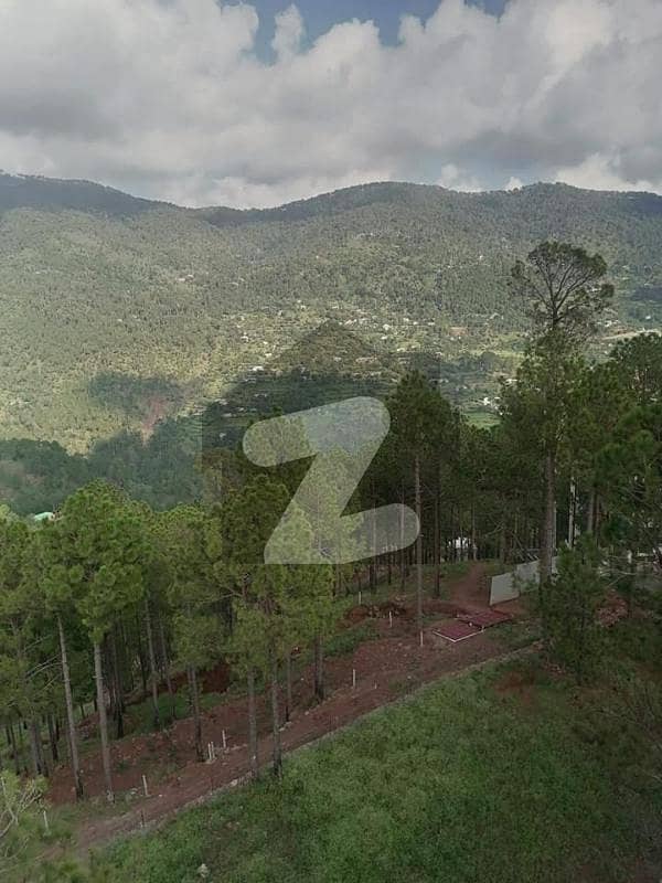15 Marla Develop Plot Ready For Construction In Murree