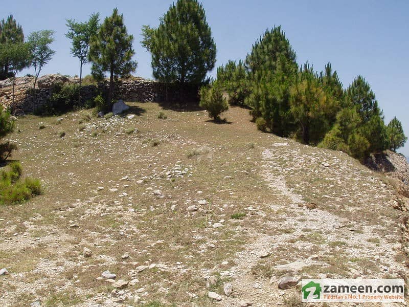 Private, Secluded, Scenic 20 Kanal Land In Hazara