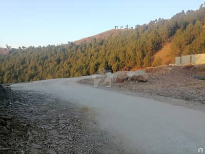 ایبٹ آباد ہائٹس روڈ ایبٹ آباد میں 1 کنال رہائشی پلاٹ 1.7 کروڑ میں برائے فروخت۔