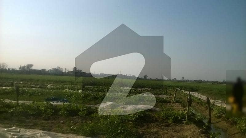 شامکے بھٹیاں لاہور میں 27 کنال زرعی زمین 9.45 کروڑ میں برائے فروخت۔