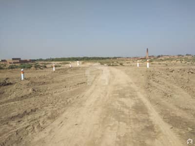 Plot Available For Sale In Tando Hyder Shaikh Burkkio Road
