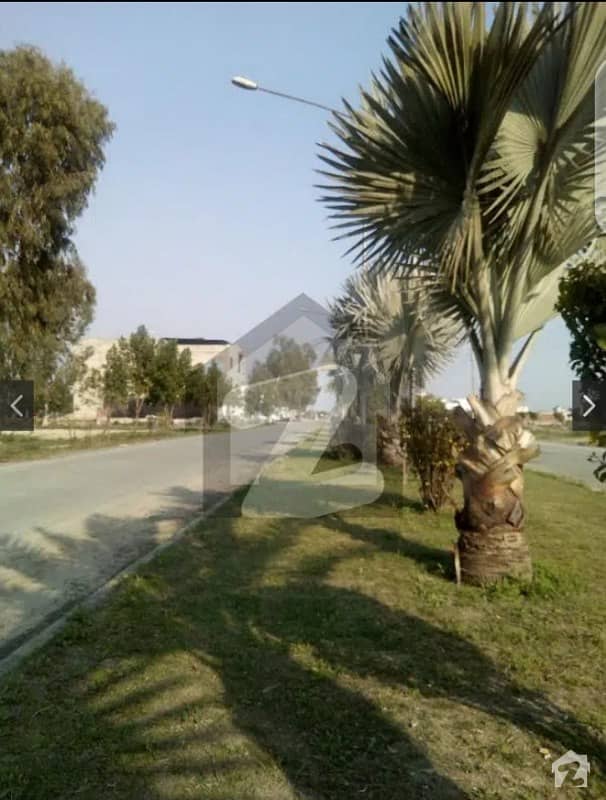 2 Kanal Plot Lda Approved Hot Location For Sale Mehran Block In Chinar Bagh