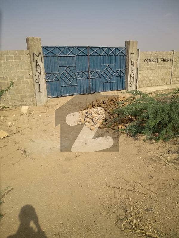 Land For Rent Best For Dairy Farm Shade Dairy Shade Cow Cattle Gadap