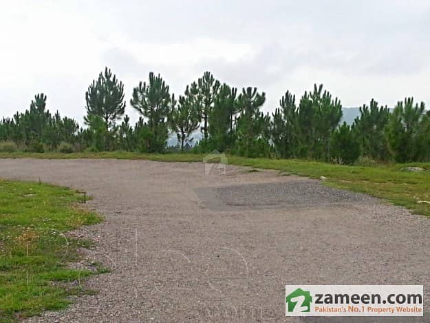 180 Kanal Land Near Shimla Parahi Abbottabad Is Available For Township Vip Society