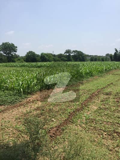 F 10 1 1000 Sy Plot For Sale