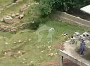 Own Plot In Murree Ghora Street Near Scouts Cadet Campus Own Plot In Murree Ghora Street Near Scouts Cadet Campus
