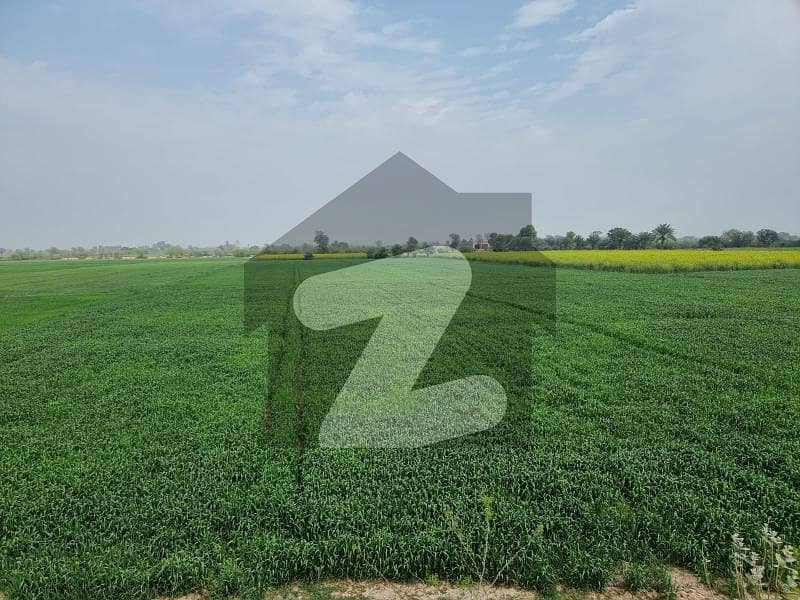Agricultural Land Is Available For Sale In Saddar On Main Carpet Road Adjacent To Village 5 Acre Front