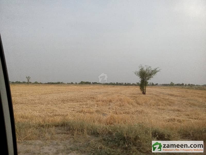 100 Acer Land Available In District Khanewal