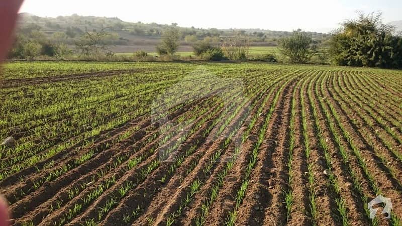 135000 Square Feet Agricultural Land Situated In Jehangira For Sale
