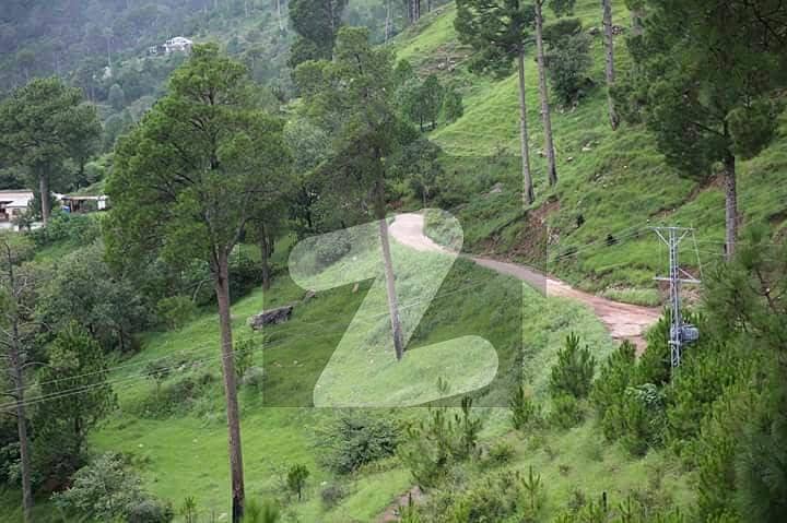 Looking For A Residential Plot For Home In Murree On A Reasonable Price Hear It Is