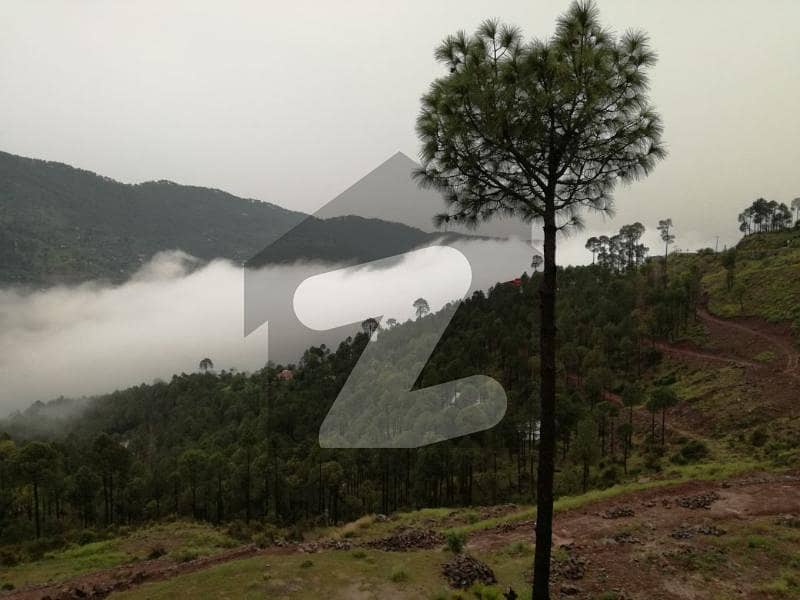 Residential Plot That You Are Looking For Is Hear In Murree