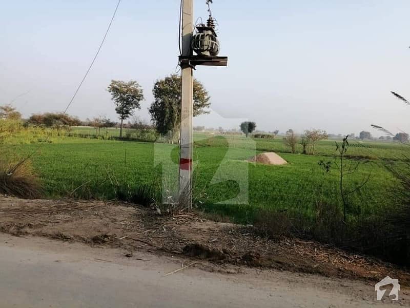Get In Touch Now To Buy A 20025 Square Feet Agricultural Land In Pansera Gojra Road