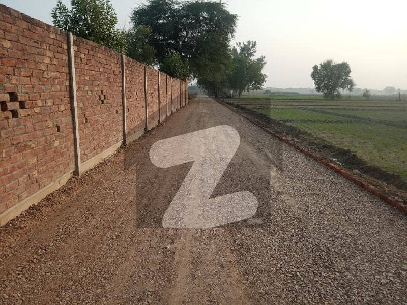 بیدیاں روڈ لاہور میں 2 کنال زرعی زمین 36 لاکھ میں برائے فروخت۔