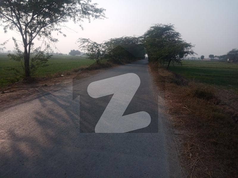 Farms House Land On Bedian Road Lahore