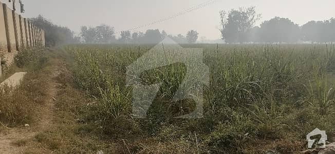 460 Marla Commercial Plot For Sale  On Main Banu Road