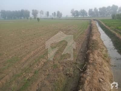 35 Kanal Agriculture Land