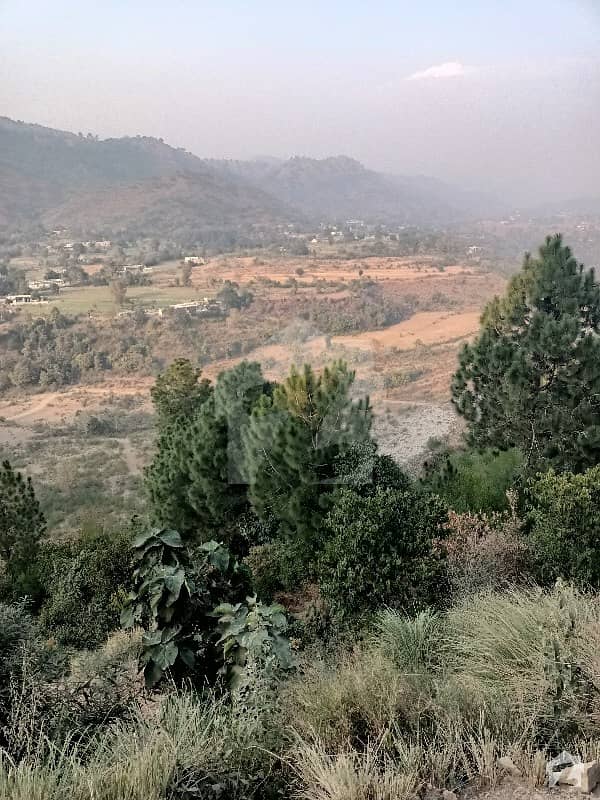 200 Kanal Land For Sale Mouza Kotli Sattian 200 Kanal Land For Sale Mouza Kotli Sattian
