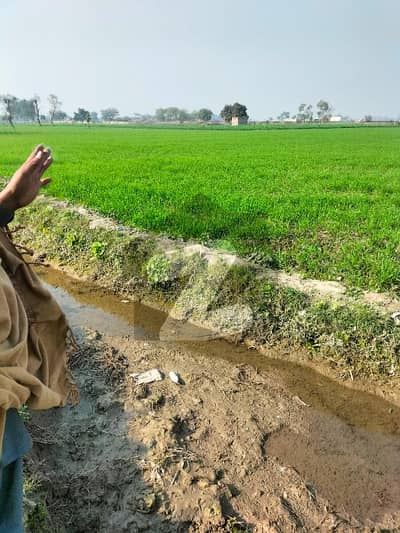بیدیاں روڈ لاہور میں 8 کنال زرعی زمین 3.2 کروڑ میں برائے فروخت۔