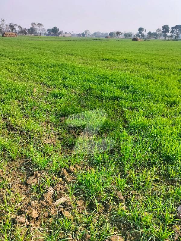 We Offer Farm House Land In The Heart Of Dha Phase 10 On Bedian Road,