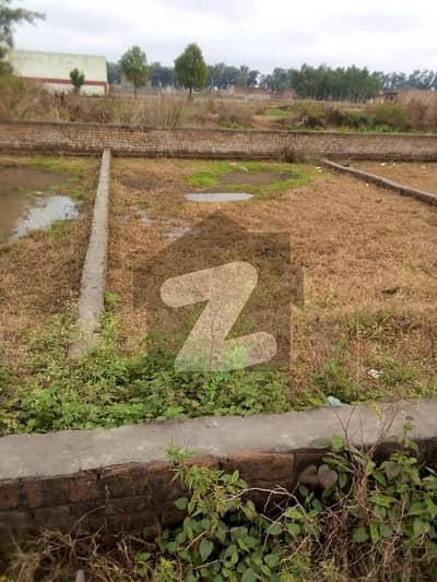 10 Marla Residential Plot For Sell In Madina Town Sambrial Boundary Wall Project