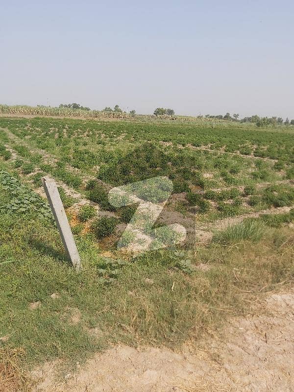 8 Kanal Industrial Land Is Available For Sale 8 Kanal Industrial Land Is Available For Sale